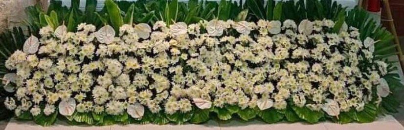 floor garden